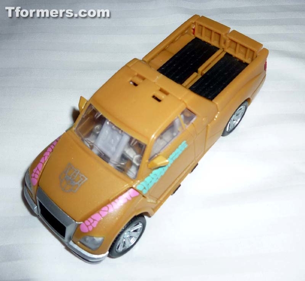 BotCon 2013   Convention Termination And Attendee Exclusives Figures Images Day 1 Gallery  (78 of 170)